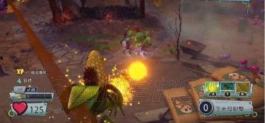 成人僵尸模式怎么玩视频,视频教学全解析