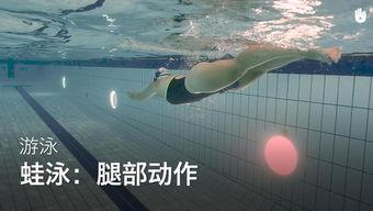 蛙泳视频成人教学大全,成人蛙泳入门与进阶技巧解析
