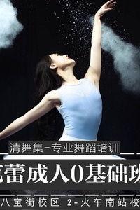 跳舞成人教程视频大全,从入门到精通视频大全